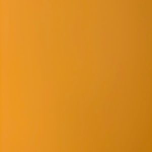 Meet your Posher, Lailah